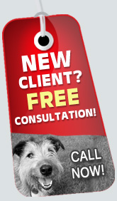 Need a Pet Sitter? Ready To Schedule? Contact Us Today!